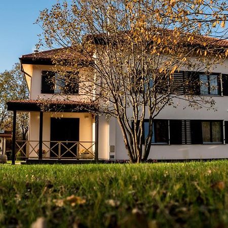 Pensiunea Negoiu Porumbacu de Sus Buitenkant foto