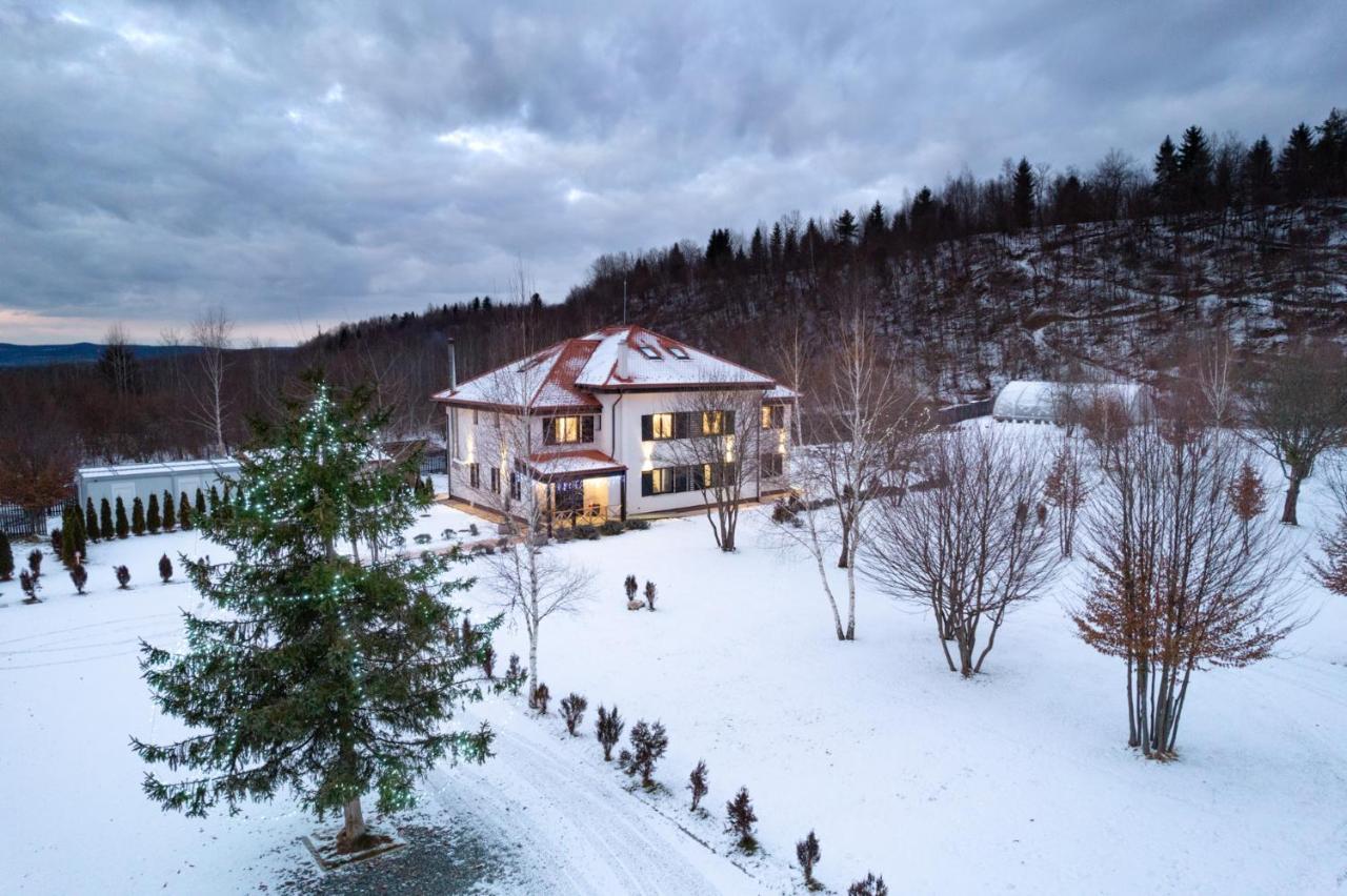 Pensiunea Negoiu Porumbacu de Sus Buitenkant foto