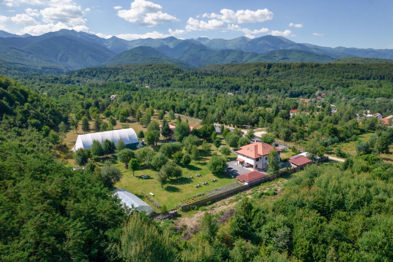 Pensiunea Negoiu Porumbacu de Sus Buitenkant foto
