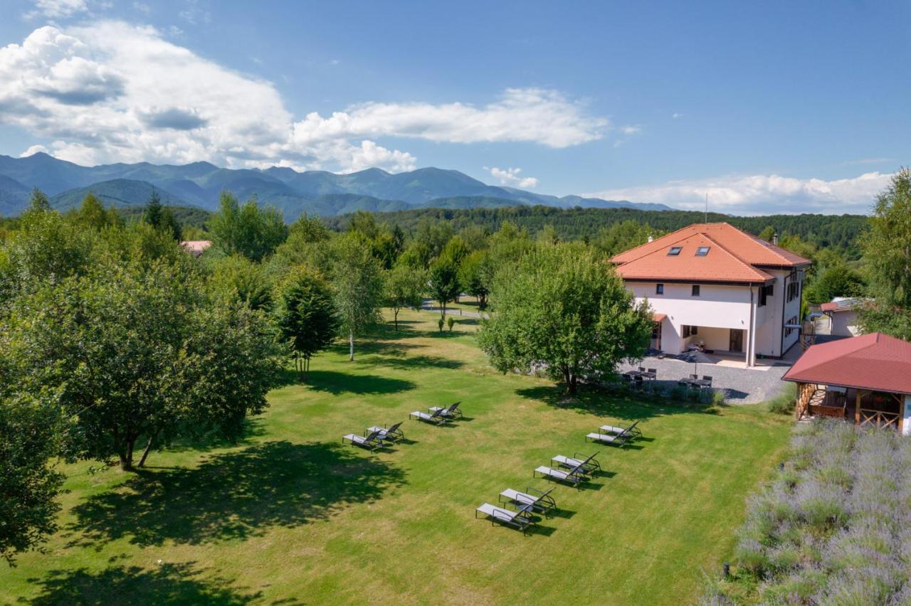 Pensiunea Negoiu Porumbacu de Sus Buitenkant foto