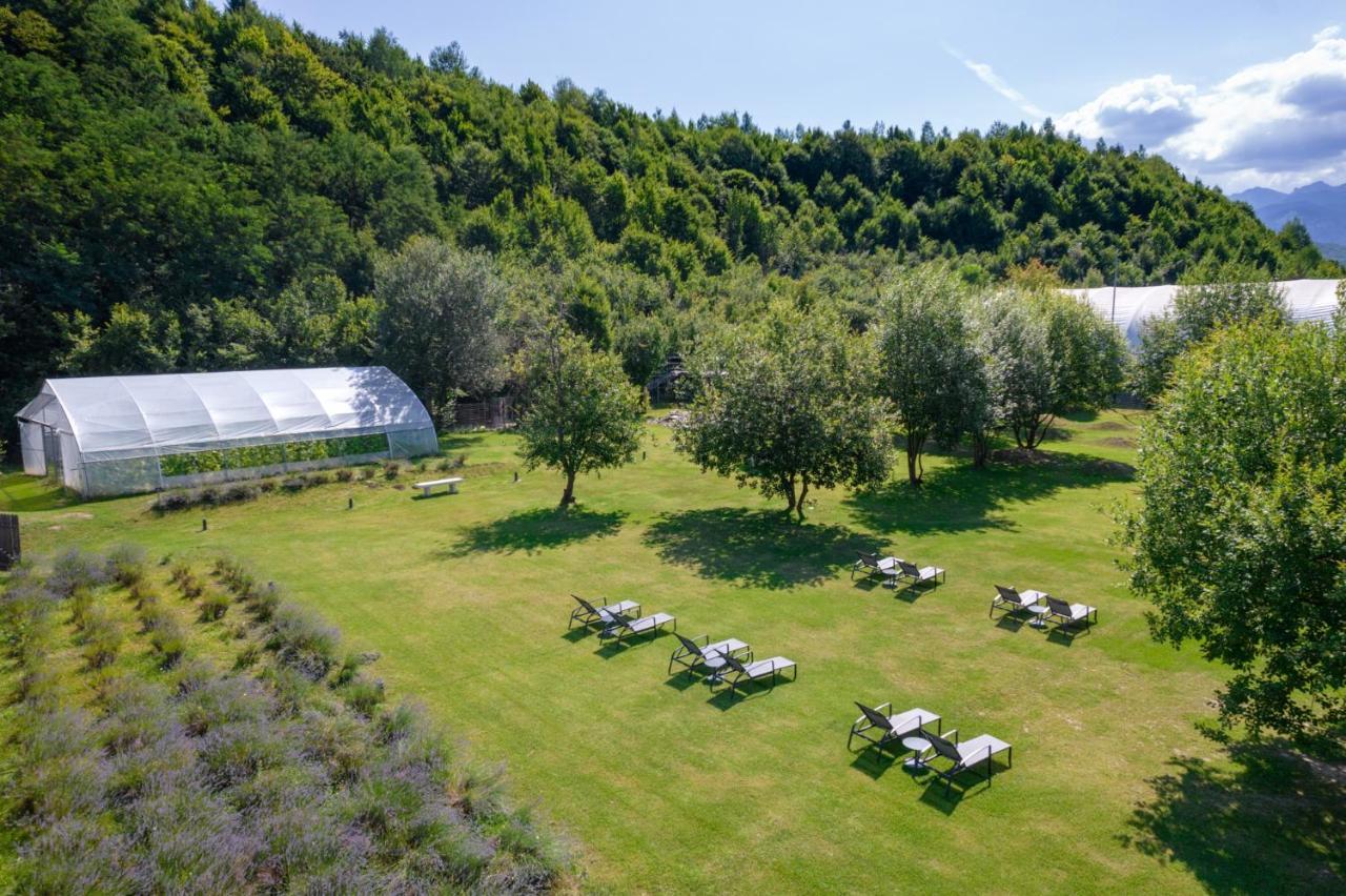 Pensiunea Negoiu Porumbacu de Sus Buitenkant foto