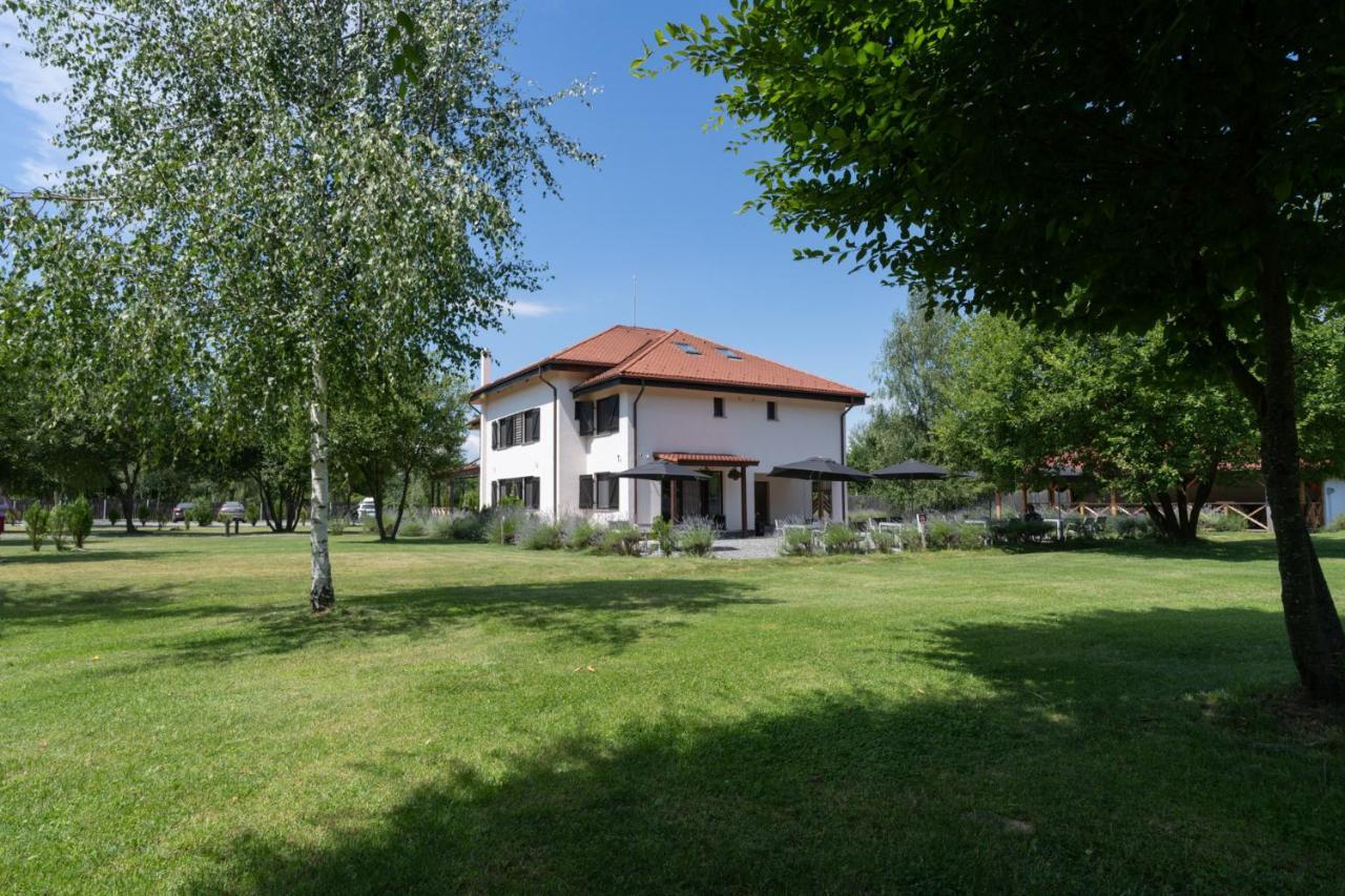 Pensiunea Negoiu Porumbacu de Sus Buitenkant foto