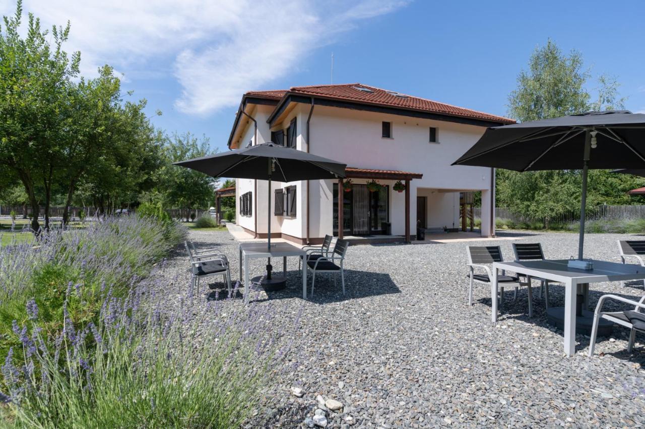 Pensiunea Negoiu Porumbacu de Sus Buitenkant foto