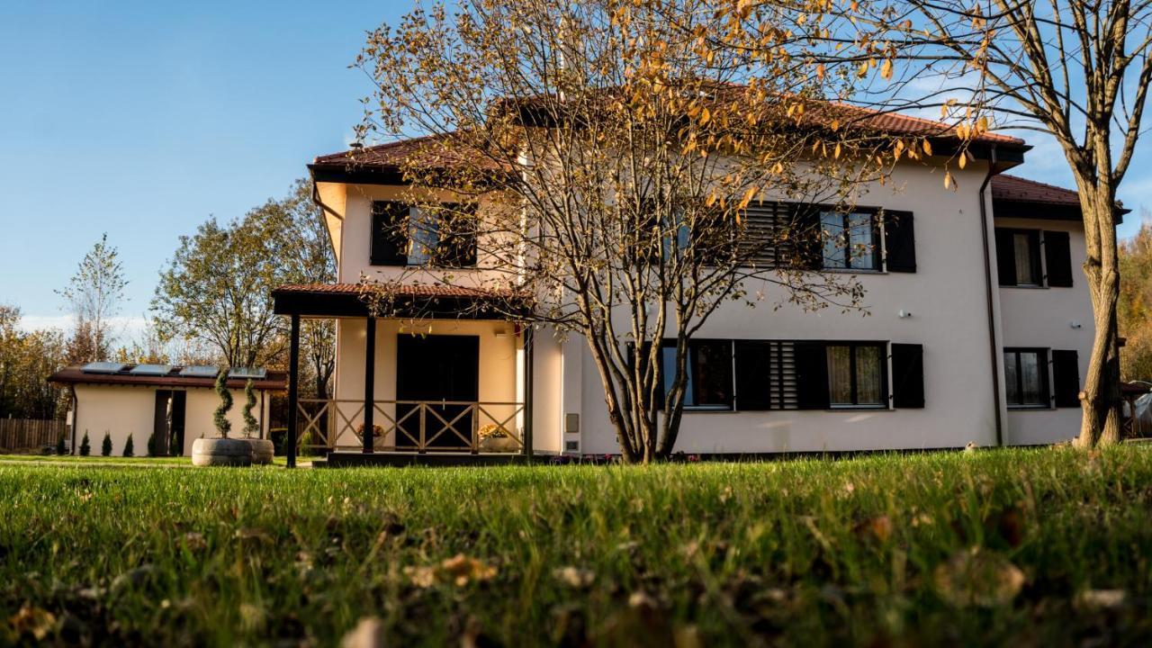 Pensiunea Negoiu Porumbacu de Sus Buitenkant foto