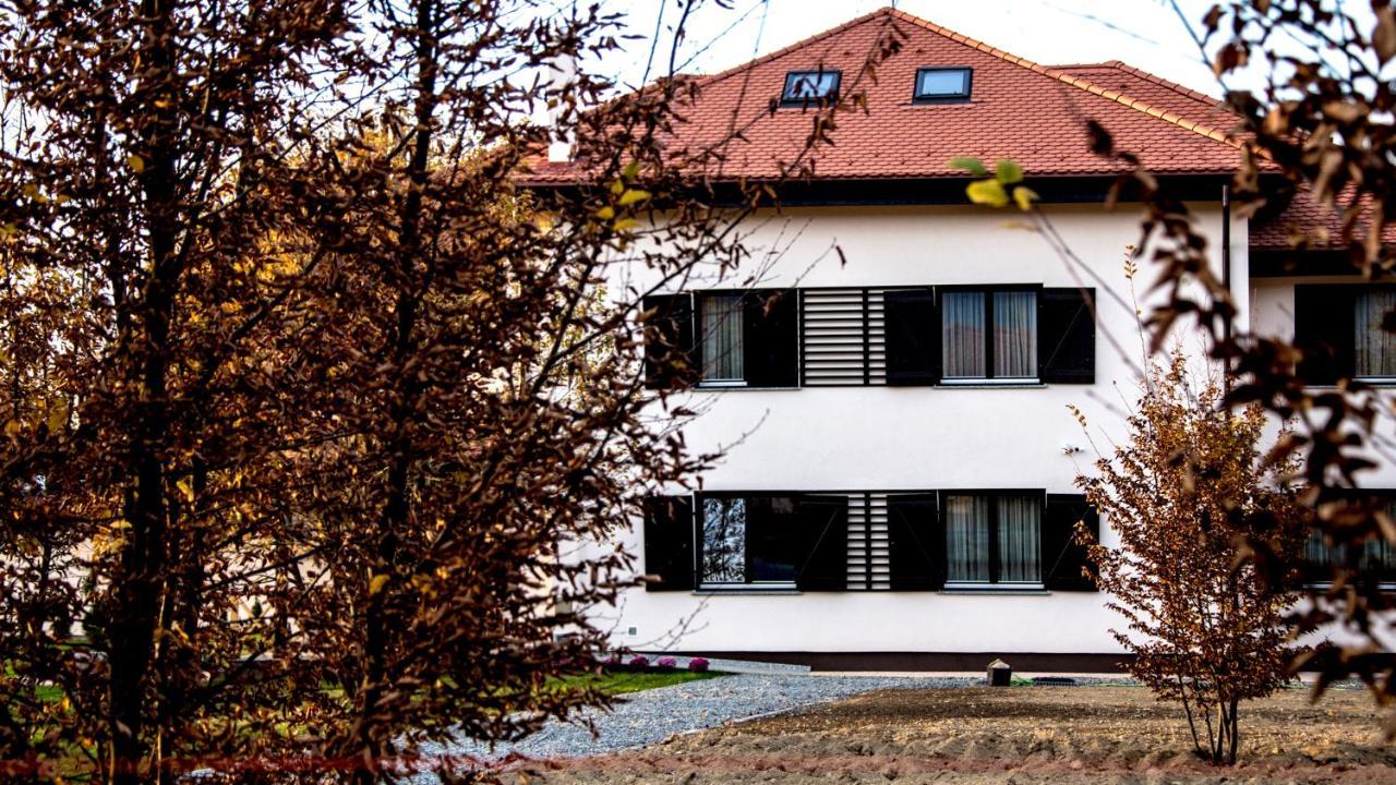 Pensiunea Negoiu Porumbacu de Sus Buitenkant foto